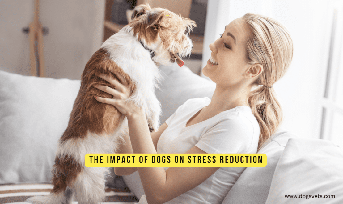 Barking up the right tree: The impact of dogs on stress reduction